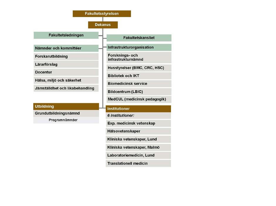 Dnr STYR 2017/586 3 1 Organisation 1.