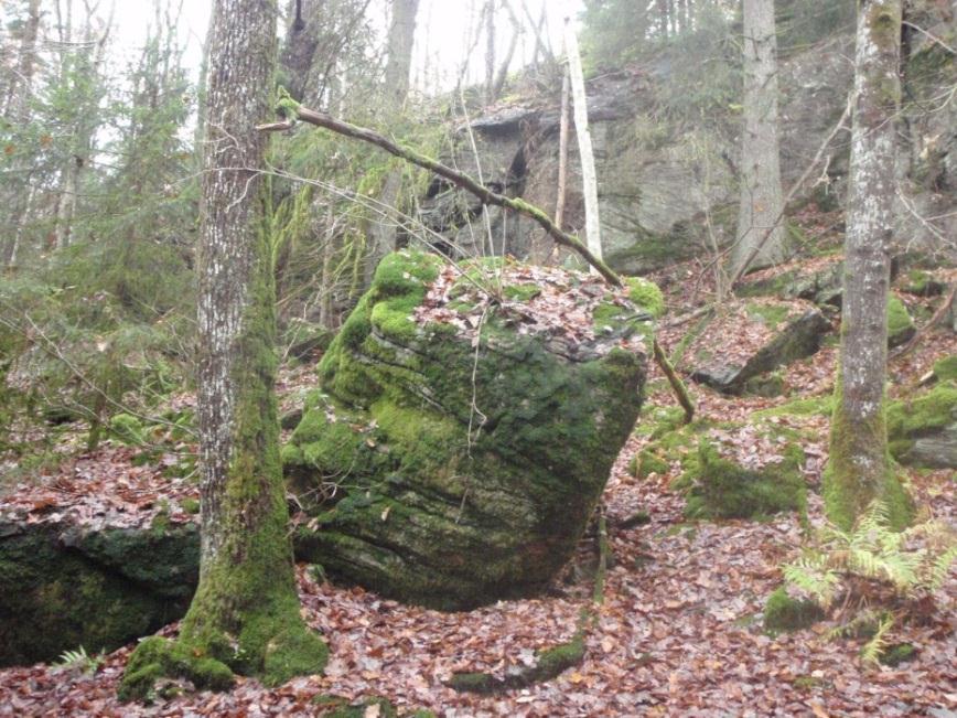 11 (16) Bild B. Block på uppskattningsvis 6 m 3 i anslutning till bergslänten belägen längs planområdets västra begränsning.