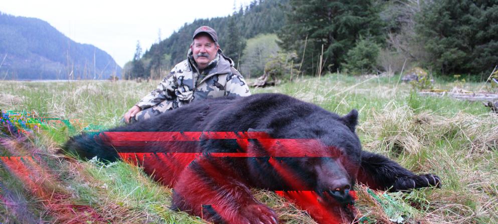 Höjdpunkter Höjdpunkter & & Beskrivning Beskrivning Svartbjörnsjakt på Vancouver Island Överblick Höjdpunkter Jakt på Svartbjörn, Världens bästa Svart björns jakt finns på Vancouver Island detta har