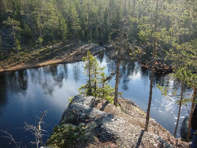 Det stora flertalet kommer till reservatsentrén i Västernorrland. Området nyttjas i stor utsträckning av bl.a. skolklasser.