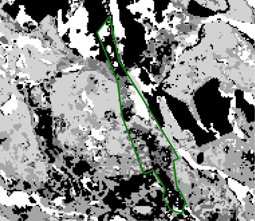 BILAGA 1 INDELNING I NATURTYPER ENLIGT KNAS (kontinuerlig naturtypskartering) Karta som visar de skogstyper som dominerar inom naturreservatet Stockholmsgata.