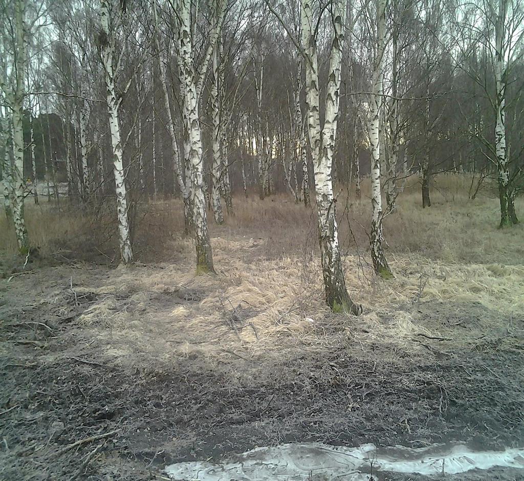 Järälla kommun Barkarystadn 2 PM Miljötknisk markundrsökning