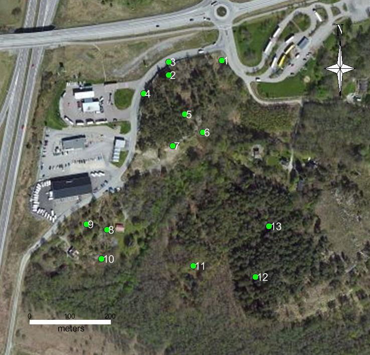 Figur 6 Flygfoto med undersökt detaljplanområde. Gröna punkter är gjorda observationer.