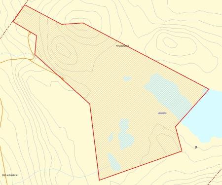 Länsstyrelsens bedömning Ringåskullen är ett stort och fint naturskogsobjekt med inslag av urskogsliknande skog.