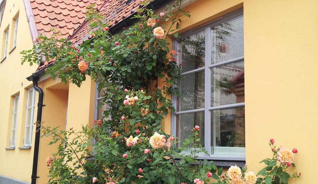 Alla som bor i Ystads kommun ska kunna leva ett innehållsrikt och givande liv, hela livet.