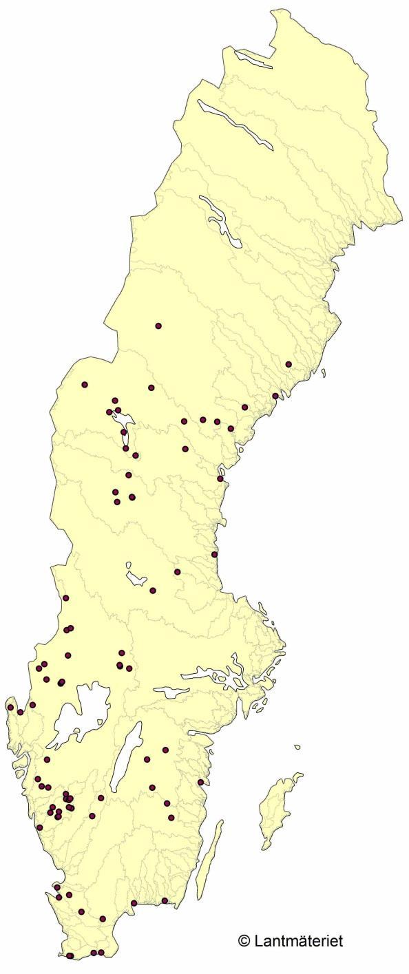 Figur 19. Figuren visar 78 flodpärlmusselpopulationer som bedömdes utdöda 2007 enligt en enkät till länsstyrelserna.