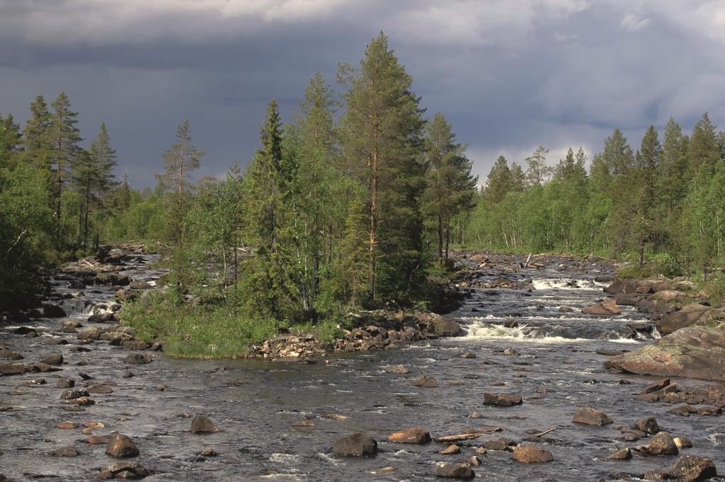 vuxna musslor kan självklart utrotas genom pärlfiske. Idag bedöms pärlfiske inte som ett allvarligt hot även om det finns enstaka uppgifter om (misstänkt) pärlfiske.