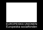 undervisning SYV vägledning i brett perspektiv, i