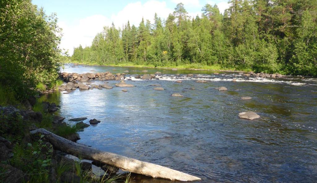 Figur 3. Exempel på tröskel i huvudfåra. Området har även fler påverkanskällor än flottning, skogsbruk och vattenreglering. Blaikengruvan är belägen söder om Storjuktan.