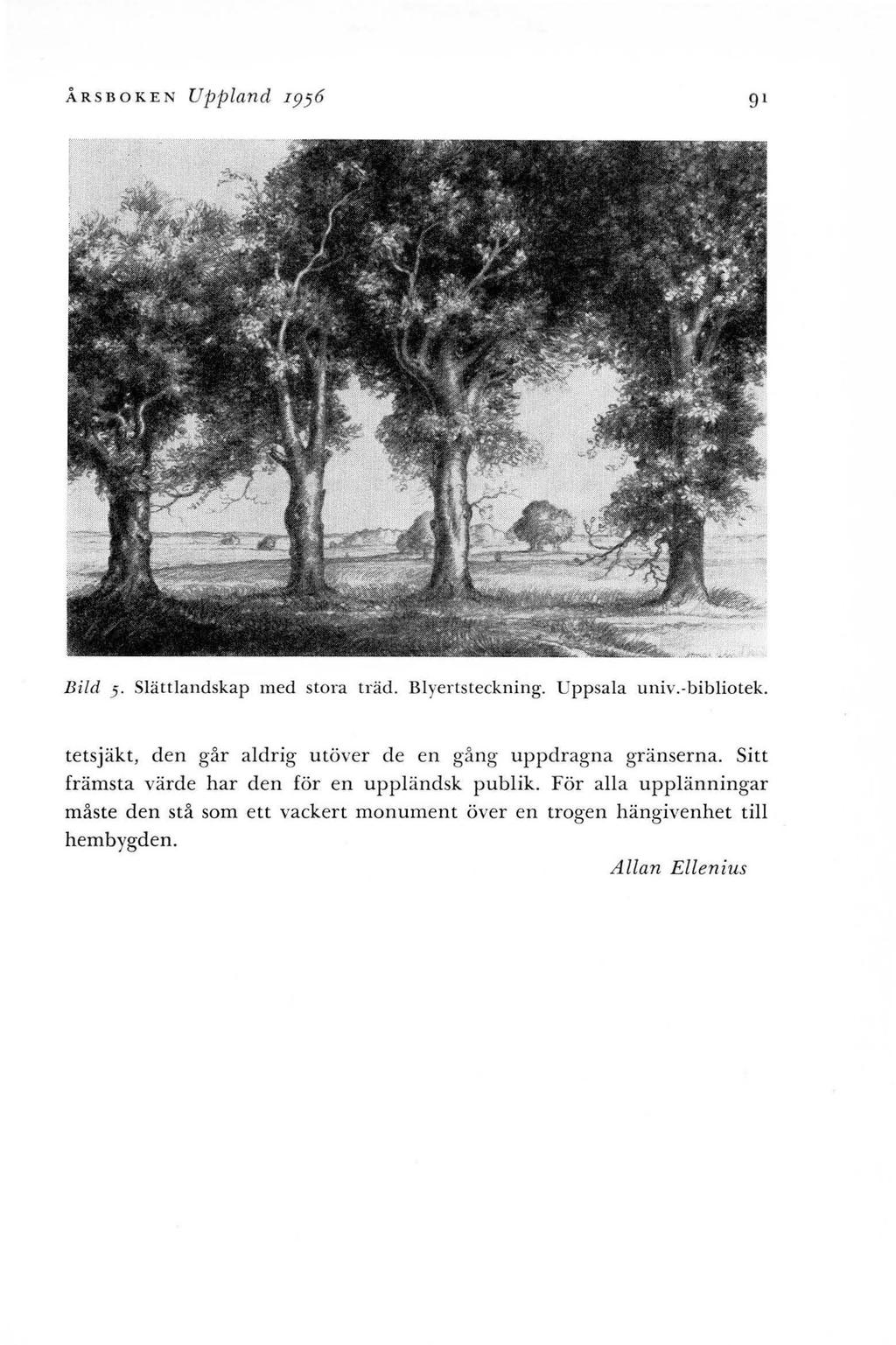 ÅRSBOKEN Uppland I956 91 B ild 5. Slättlandskap med stora träd. Blyertsteckning. Uppsala univ.-bibliotek. tetsjäkt, den går aldrig utöver de en gång uppdragna gränserna.