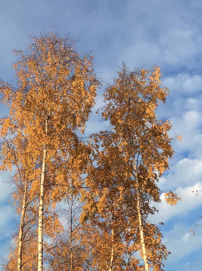 TEOLOGISKA INSTITUTET I FINLAND