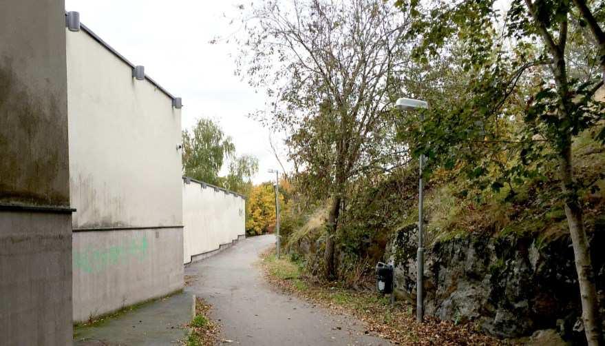 Sida 7 (35) Förutsättningar Natur En stor del av planområdet består idag av kuperad parkmark med blandskog dominerad av tall samt partier med berg i dagen.