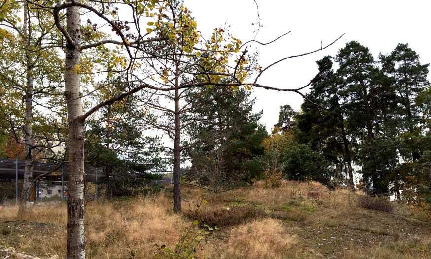 Enligt miljöförvaltningen bedöms naturmaken inte ha så höga ekologiska värden att den måste sparas, men att värdena är av sådant slag att intrånget bör minimeras och kompenseras.