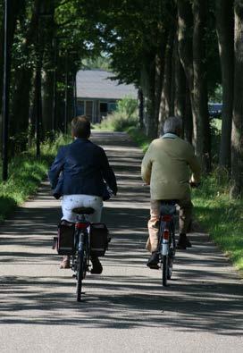 I karta 6 beskrivs trafiksäkerhetsstandarden som kan åstakommas med cykelfält utifrån hastighetsgränsen och trafikflödet, för metod se kapitel 2.4.