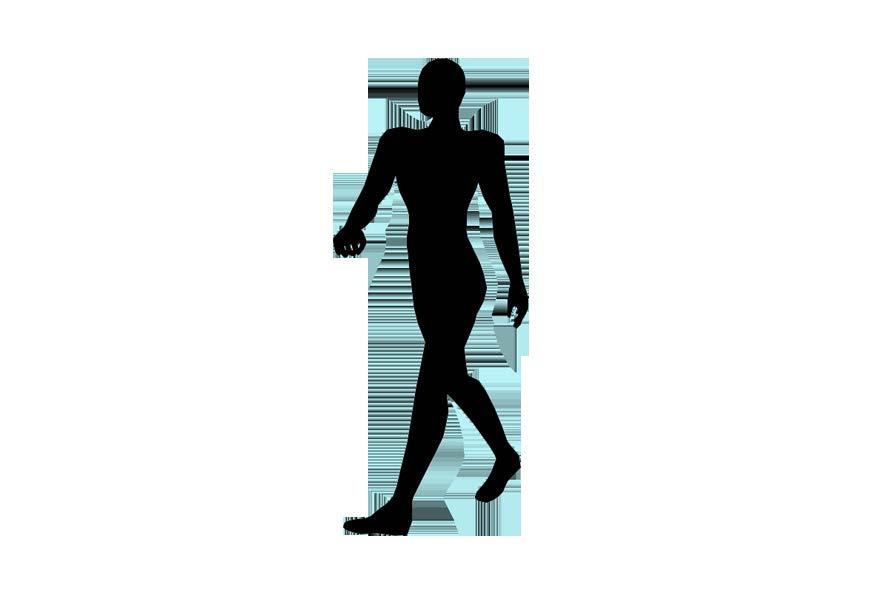 skenbenet har förskjutits med två keyframes, se de blåa kvadraterna i figur 10. Händer, fingrar och fötter har förskjutits med tre keyframes, se gröna kvadrater i figur 10.