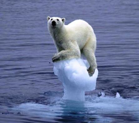 Climate trends Climate and environmental awareness There is a growing