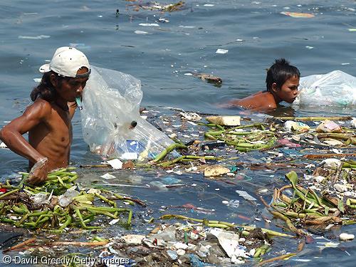 < Mediteranian coastal zones The Ocean Biodiversity Pollusion Vital link in