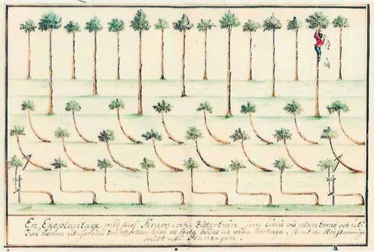 SKOGSARBETETS SKEPPSVIRKE PÅ GAMMALT RATIONALISERING VIS I MODERN OCH HUMANISERING TIDH 1900 2010 DEN LILLA ANDEL GAMMAL OCH GROV ekskog som finns spridd över södra Sverige, hyser visserligen en del