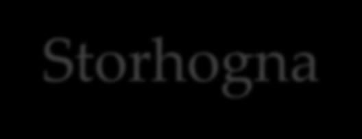 Storhogna Vägförening Parter som skall