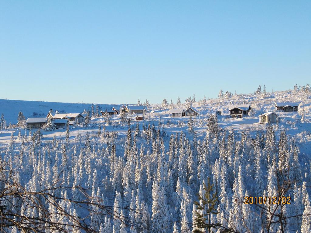 Vi ses i vårt Storhogna under 2015.