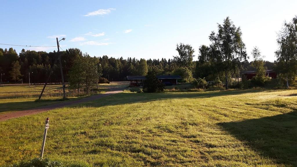 På holmen finns en fiskmåskoloni och häckande drillsnäppa. Bild 3.