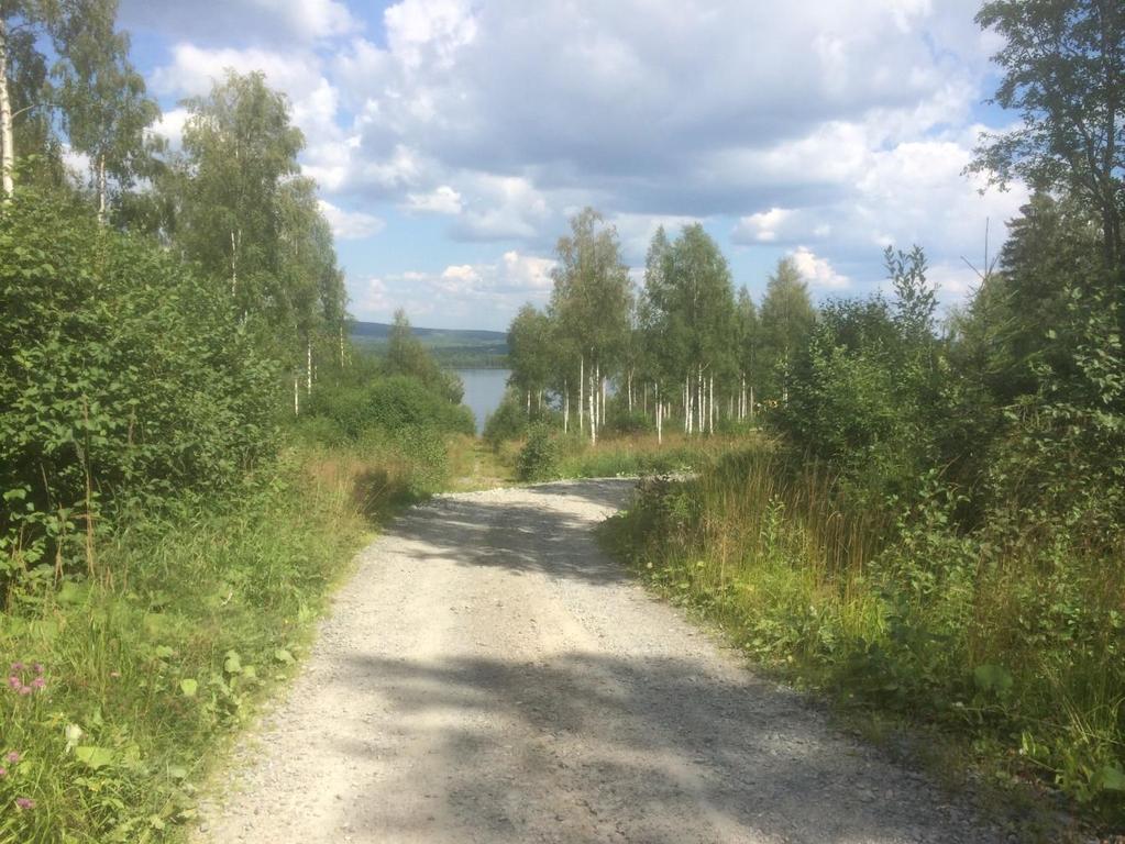 ANTAGANDEHANDLING efter granskning av detaljplan för Sunnansjö 125:2 m.fl.