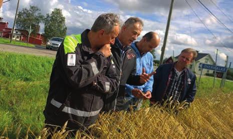 Österbottens svenska producentförbund ÖSP ÖSP på kansliet och sommarmötet hölls hos på ordförande Edmans gård i Malax.