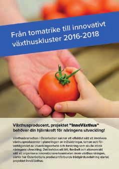 ÖSP Österbottens svenska producentförbund ÖSP Året inleddes med att starta upp trädgårdssektionens utvecklingsprojekt, Från tomatrike till innovativt växthuskluster, InnoVäxthus.