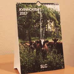 SLC III. Centralförbundets verksamhet 2016 Nylands ekoutskott. EkoNu!