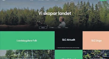 III. Centralförbundets verksamhet 2016 SLC informatörer till sitt förfogande, vilket innebar att de under 2015 inledda satsningarna kunde fortsättas och slutföras.