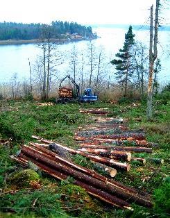 och massaved, Biobränsle, Dricksvatten,