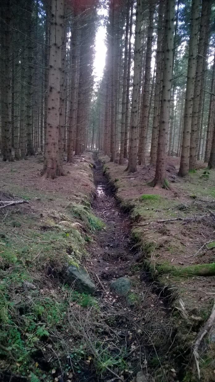 Habitat och livsmiljöer En variationsrik skog med många olika slag av habitat och livsmiljöer ger en rik flora och fauna. Status bedöms som otillräcklig.