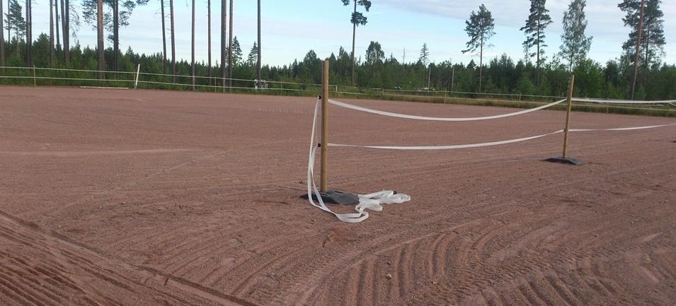 Det har inte skrivits så mycket om hästsportarna tidigare.