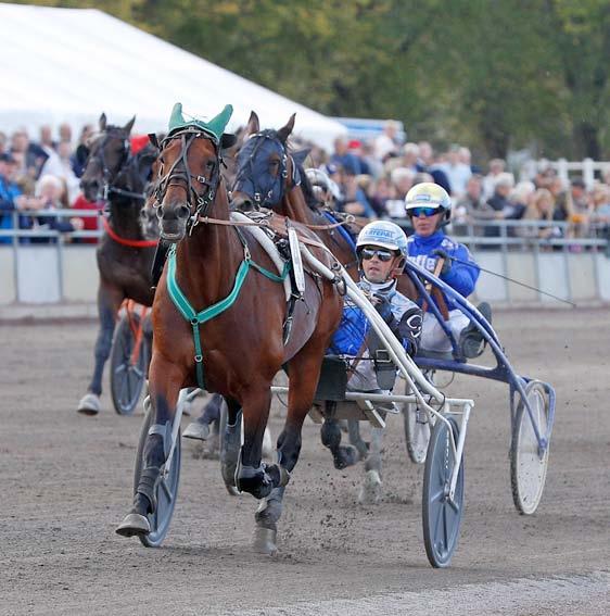 FÄRJESTAD FRI ENTRÉ & FRI DRIVE-IN