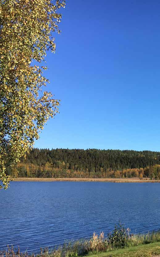 Land och stad växer i samverkan med varandra och just den helheten och närheten till varandra bidrar till platsens attraktivitet.