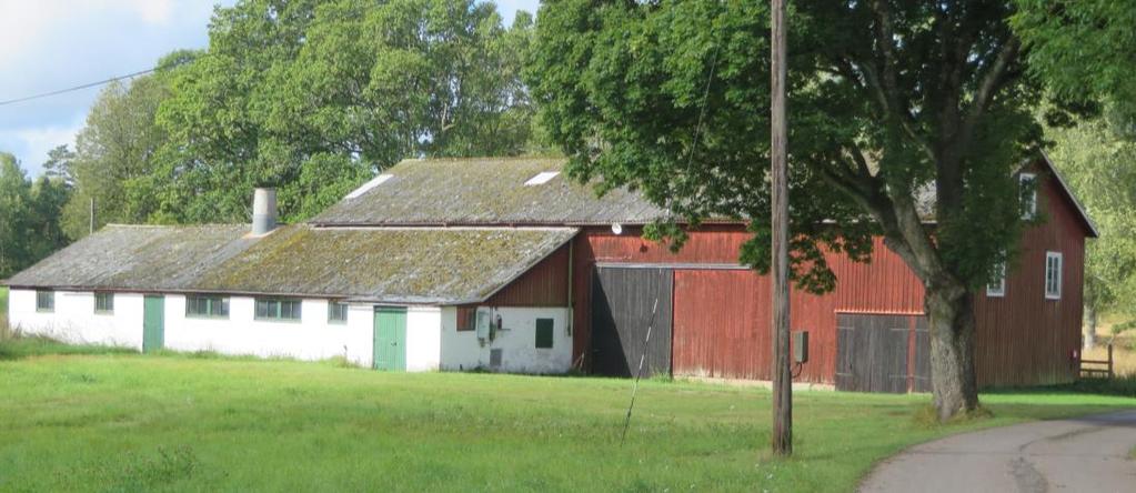 Gårdens (2:1) mjölkrum, ladugård och loge.