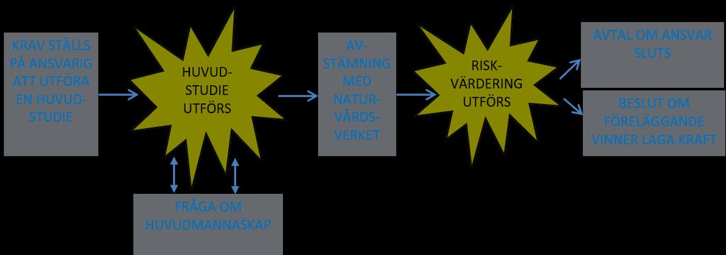 4.1.1 Huvudmannaskap Tillsynsmyndigheten bör se till att få fram en huvudman för att en åtgärd ska komma till stånd.