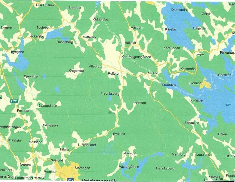 föda då ungarna måste ha vatten (blodet i den färska födan). En studie på Åland visar på att havsörnarnas ungar huvudsakligen föds upp på fisk (Ekblad 2004).