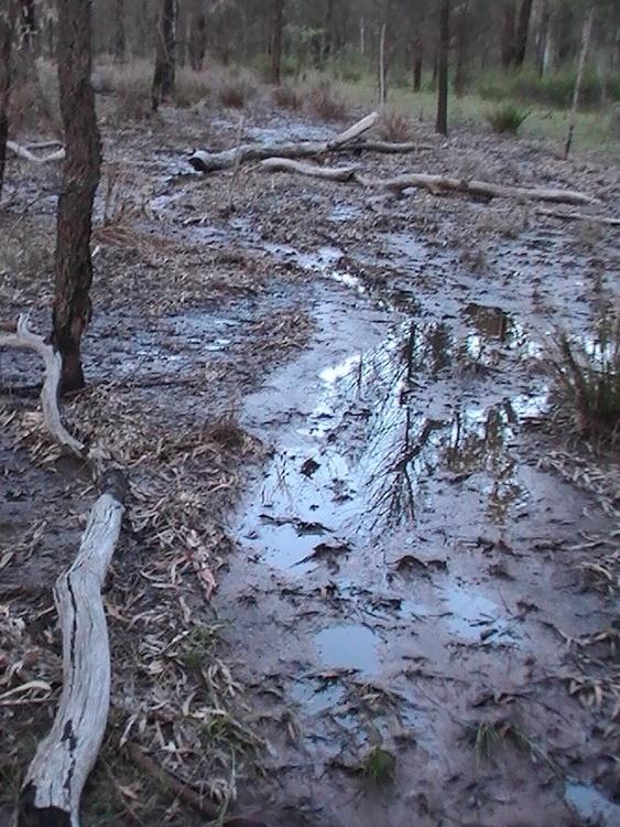 bränsle/vätska. Risken för spill vid tanknings ställen är stor och ska därför ske under kontrollerade förhållanden. Bensin utvecklar en stor mängd gas snabbt (Jansson, 1998).