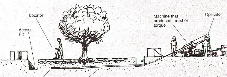 Inbrädning kommer skydda trädstammen från sådana skador. Virket ska vara av minsta storlek på 45x95mm.