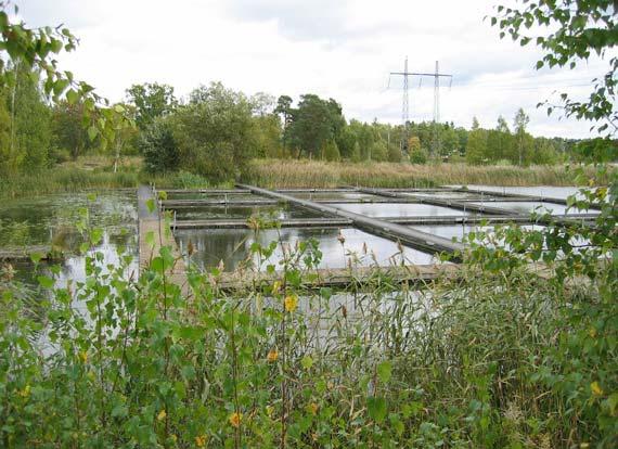 Uppdragsnr: 10096905 4 (12) Bild 1. Skärmbassäng i Trehörningen. Trehörningen Anläggningen byggdes på 70-talet. Den är i stort behov av upprustning.