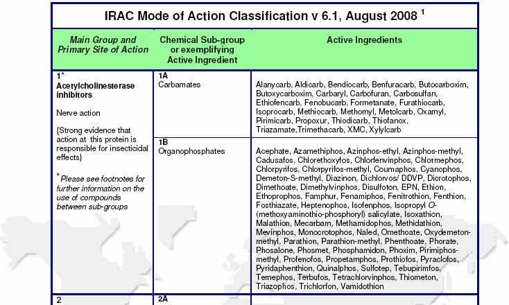 Exempel på insekticidgrupper enl. IRAC (www.irac-online.org) Inventering av rapsbaggeskador i konv.