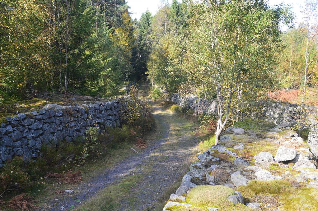 Undersökningsplikt Den slutgiltiga köparen har enligt jordabalken ett långtgående ansvar att undersöka egendomen och förvissa sig om dess skick, gränser och areal före köpet.