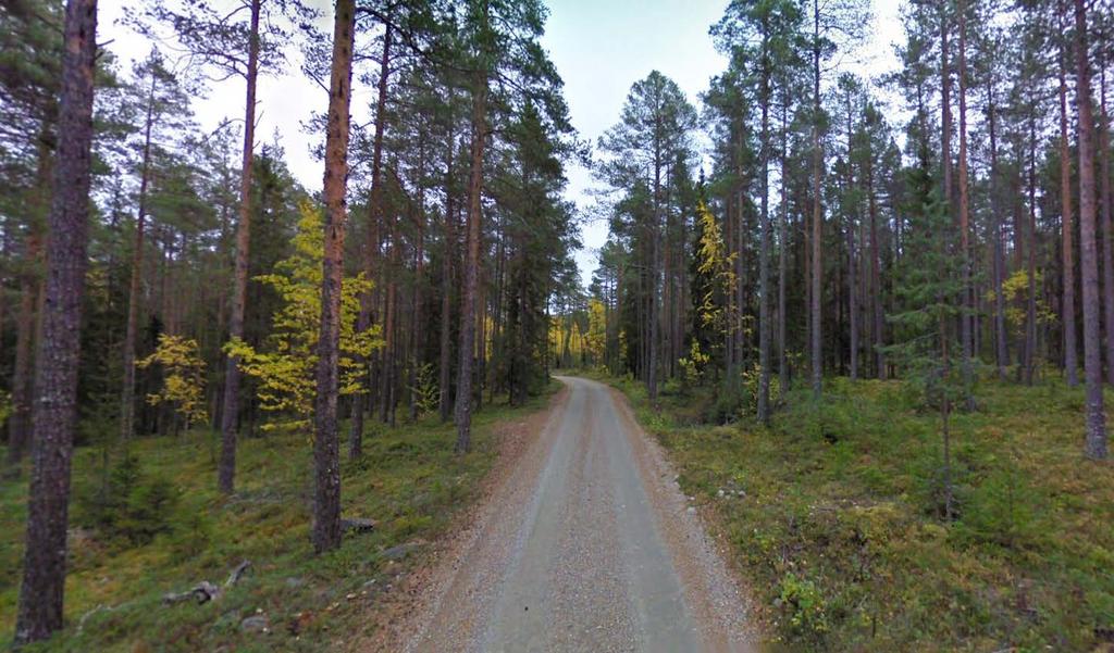 FÖRUTSÄTTNINGAR OCH FÖRÄNDRINGAR Natur Mark och vegetation Naturen består, frånsett
