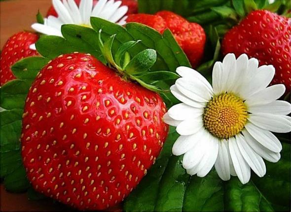 Midsommar i Paradiset Man behöver inte vara ensam på midsommarafton. Grannar kan och inbjuds att umgås.