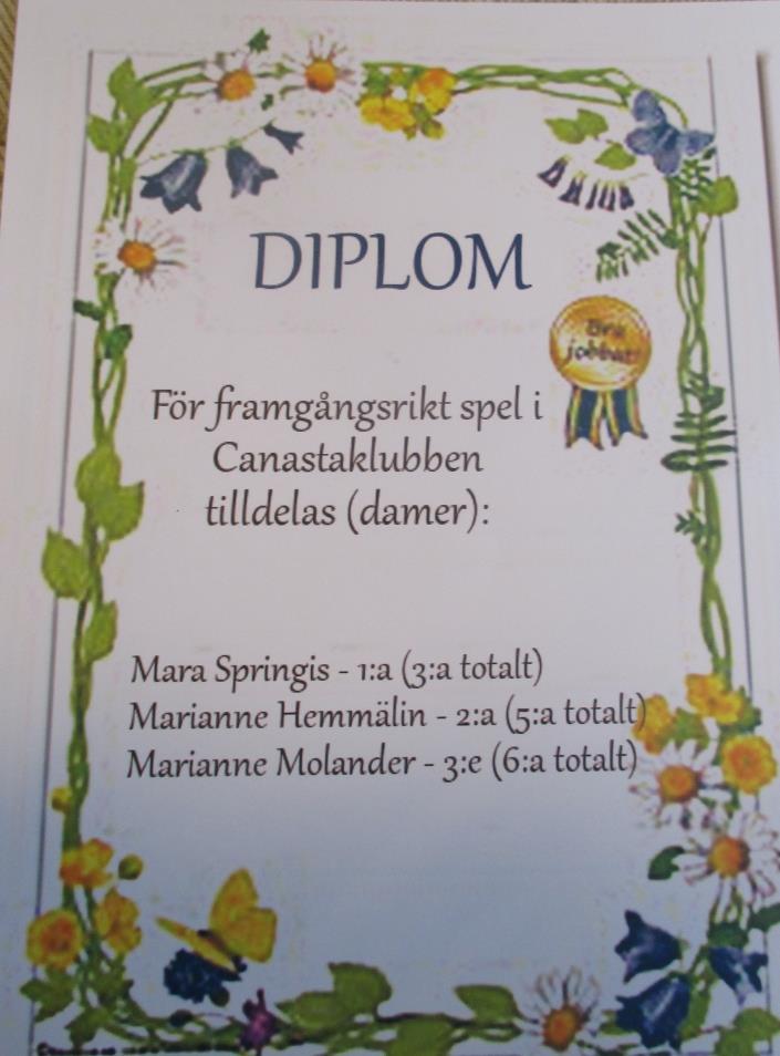 Primus Motor för