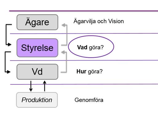 Styrelsen/styrelseordföranden ansvarar för: Att arbeta genom VD inte kringgå Att ge VD tydliga instruktioner och befogenheter Att det finns en tydlig