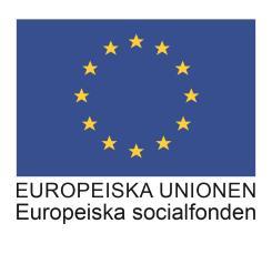 Delrapport analys- och