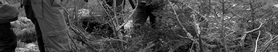 Norsknoppa (Gnaphalium norvegicum): i fuktig granskog, 6869210/1345780 (ADe).