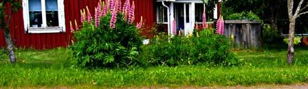 se för garantivillkor Betalningsvillkor För företag gäller faktura på 15 dagar under förutsättning att inga betalningsanmärkningar föreligger.
